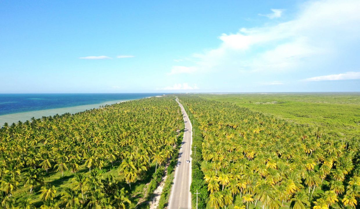 Brochure-Punta-esmeralda2..pdf