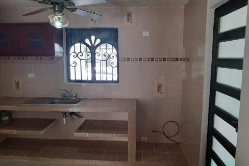 WhatsApp Image 2021-03-12 at 14.07.42 (3)