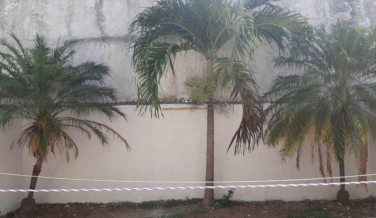 WhatsApp Image 2021-03-12 at 14.07.44