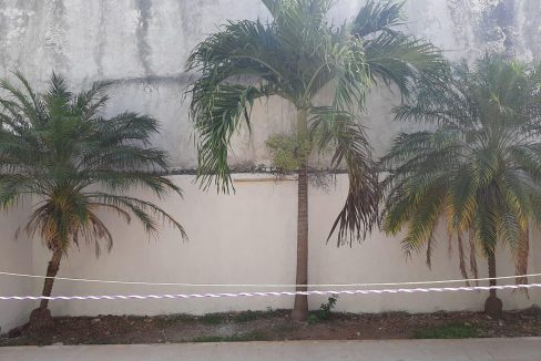 WhatsApp Image 2021-03-12 at 14.07.44